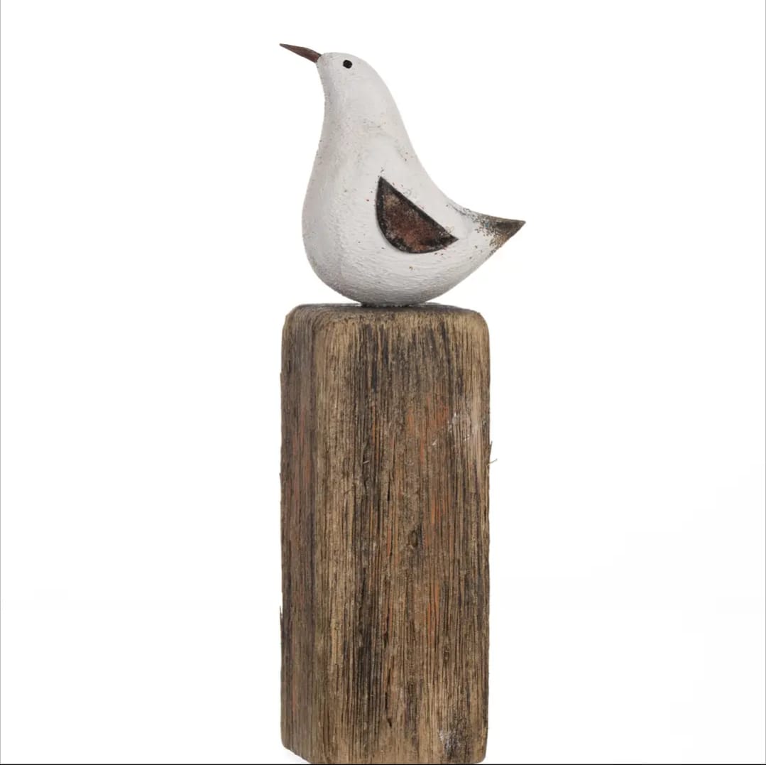 Bird on driftwood block